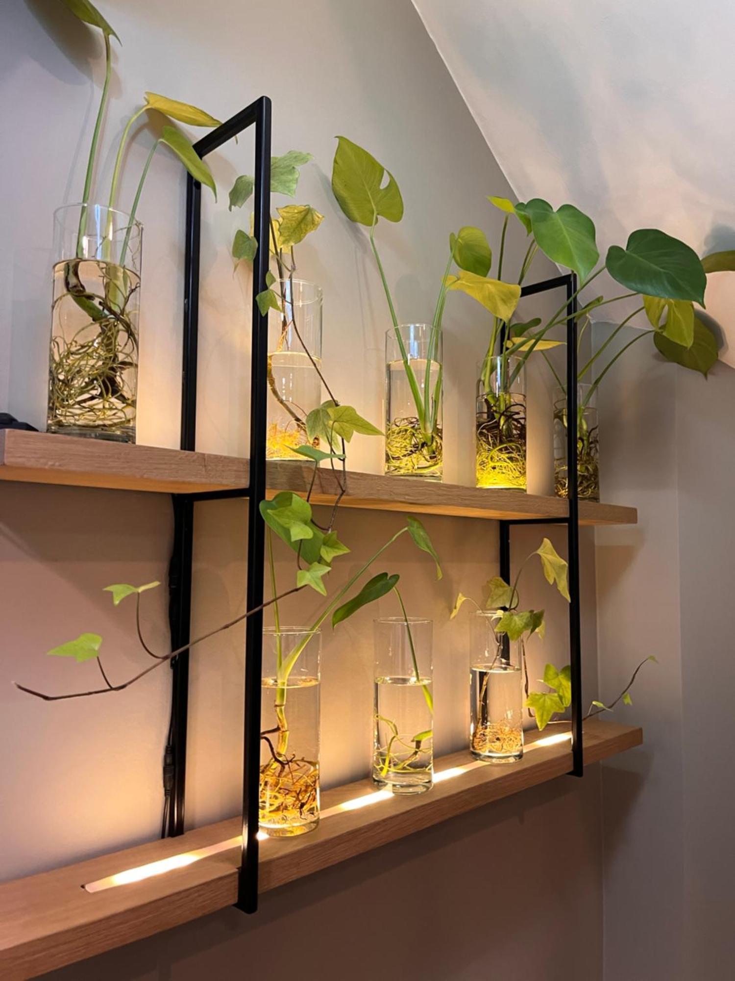 Dutch Design Hotel Vondelpark Amsterdam Zewnętrze zdjęcie